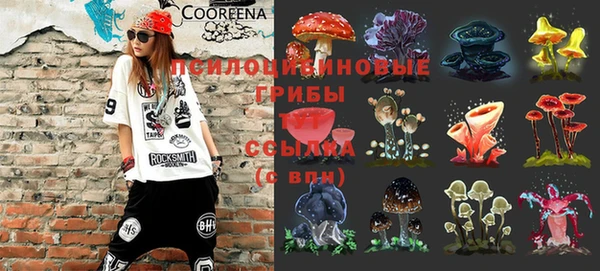 ALPHA-PVP Алексеевка