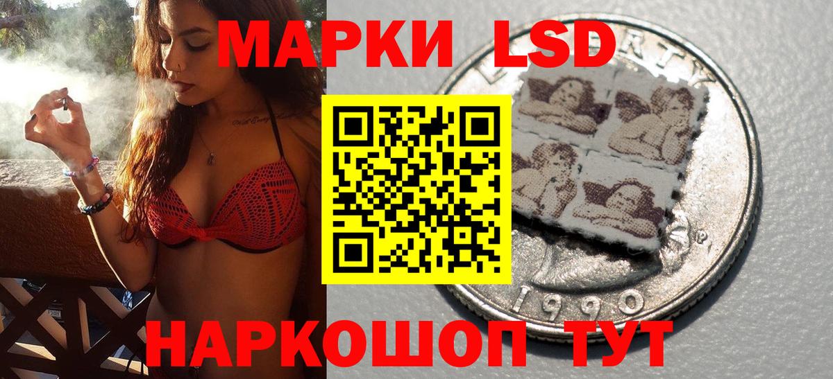 где купить наркоту  Марки NBOMe 1,8мг  Дзержинский  Вход с VPN  Марки NBOMe 1,8мг 
