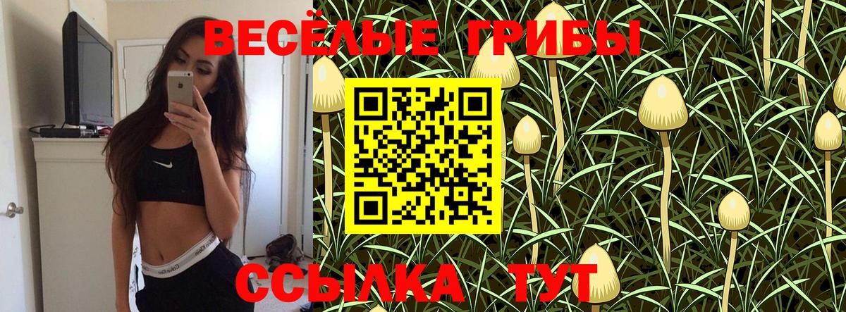 Дзержинский  Галлюциногенные грибы прущие грибы  Вход с VPN 