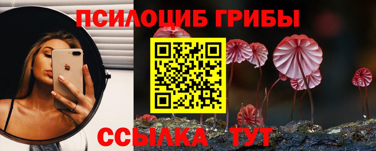 Псилоцибиновые грибы ЛСД Дзержинский